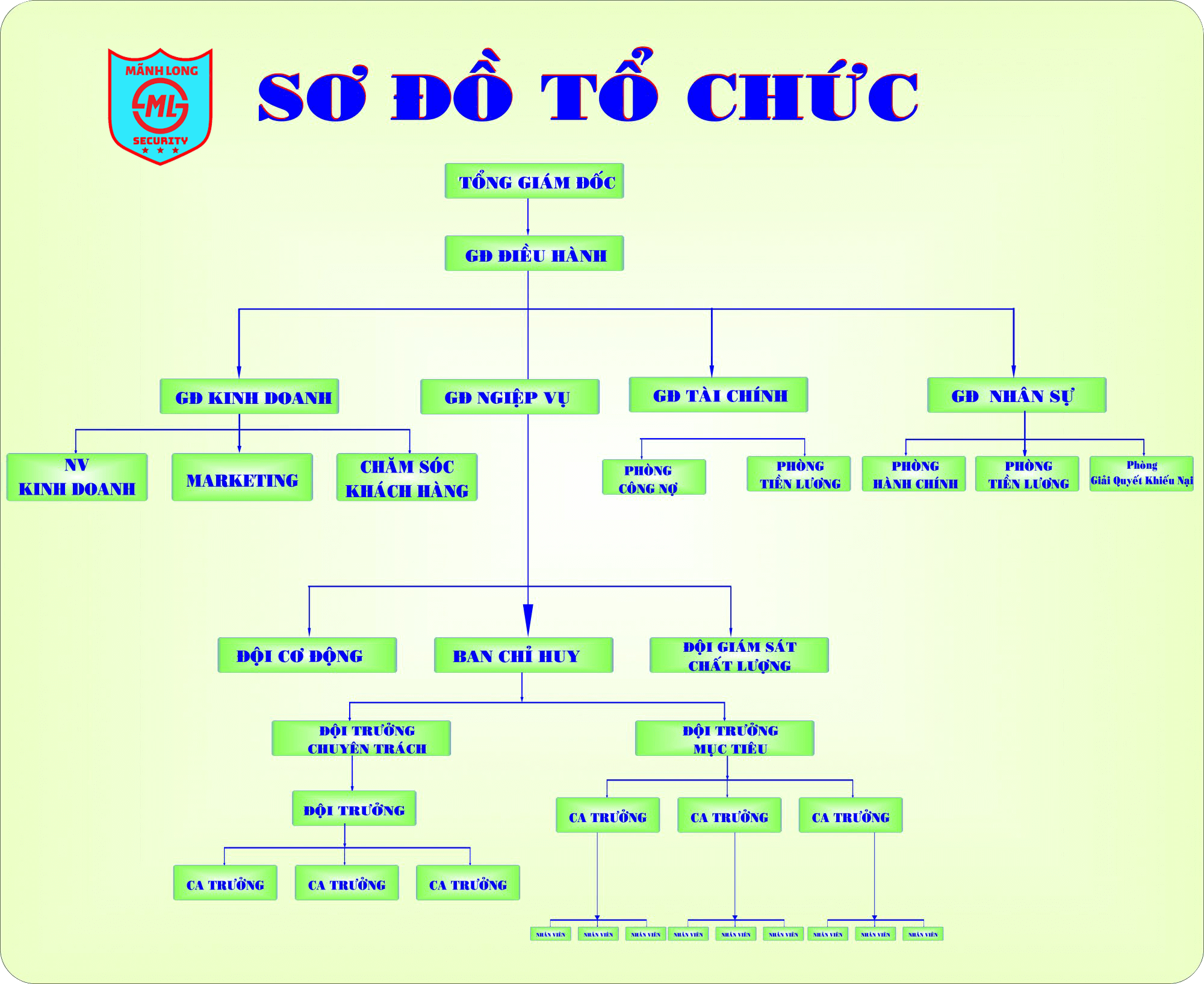 SO_DO_TO_CHUC_-_C_CUC_2